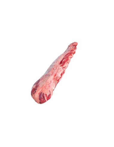 FILETE CHOICE AMERICANO