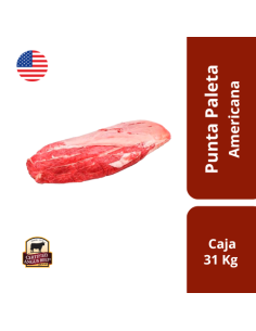 PUNTA PALETA AMERICANA