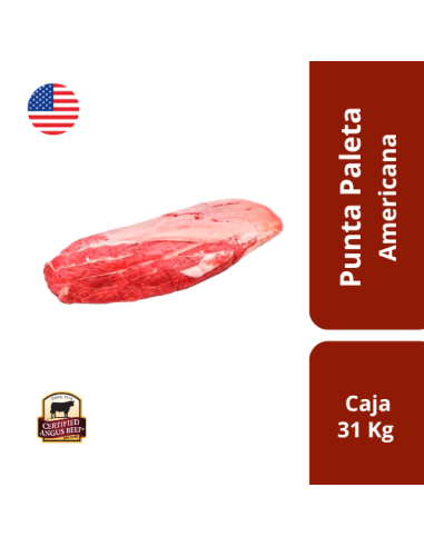 Punta Paleta Americana